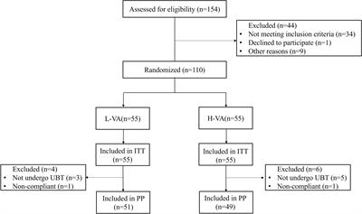 Fourteen-day vonoprazan and low- or high-dose amoxicillin dual therapy for eradicating Helicobacter pylori infection: A prospective, open-labeled, randomized non-inferiority clinical study